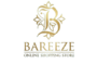 bareezeonline.pk